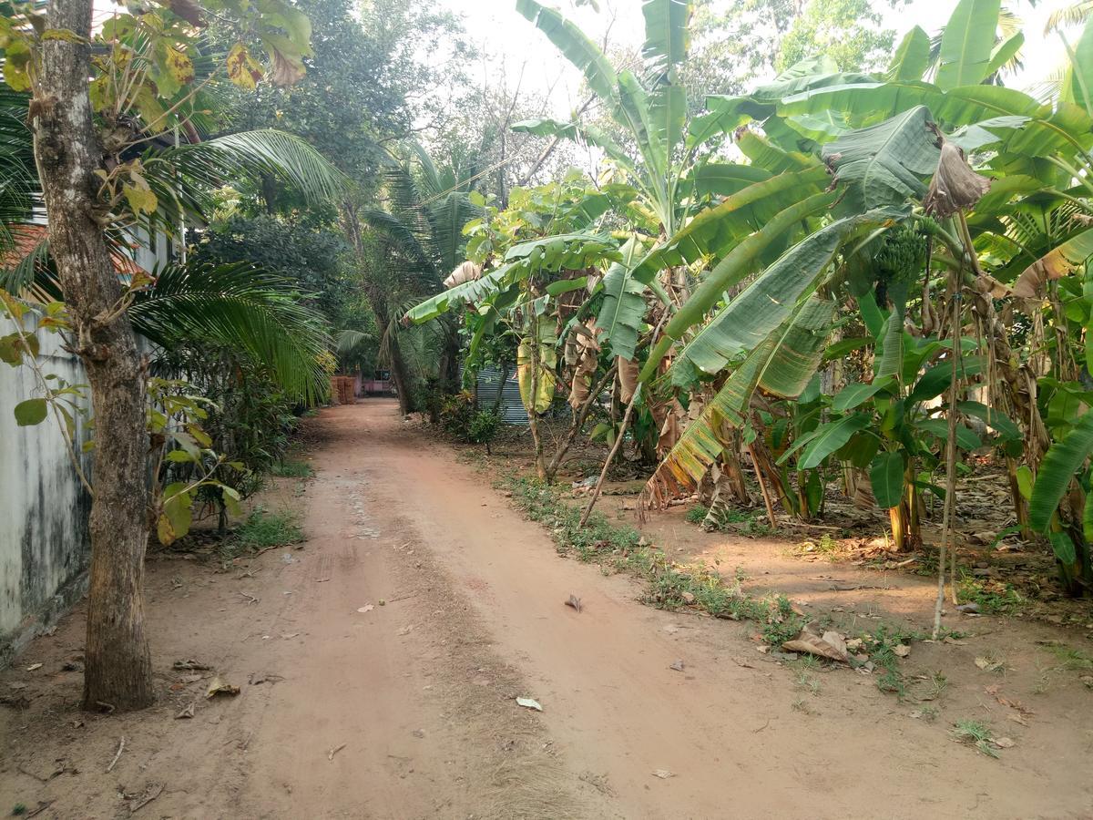 Agape Marari Appartement Mararikulam Buitenkant foto